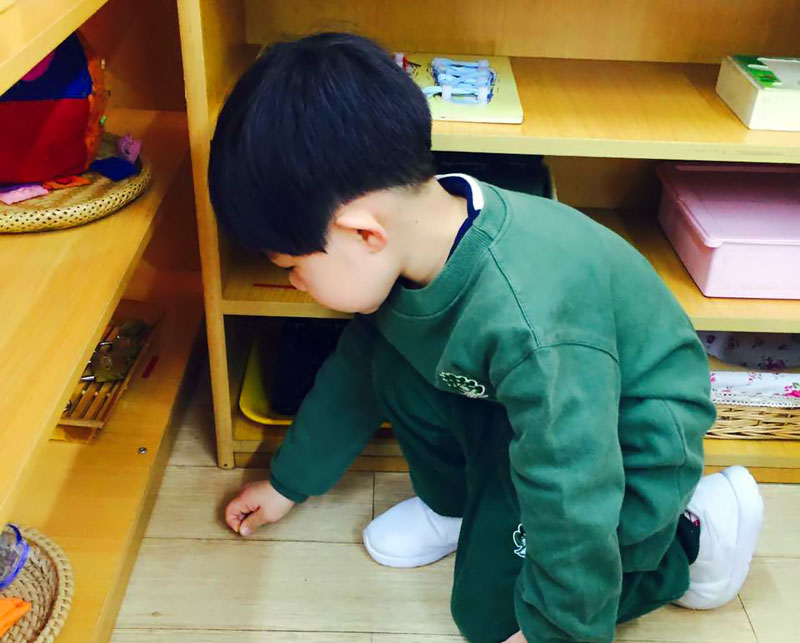 443686804043113_副本.jpg 443686804043113_副本.jpg